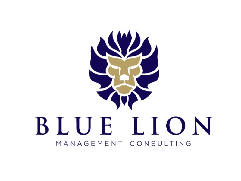 Blue Lion Management Consulting